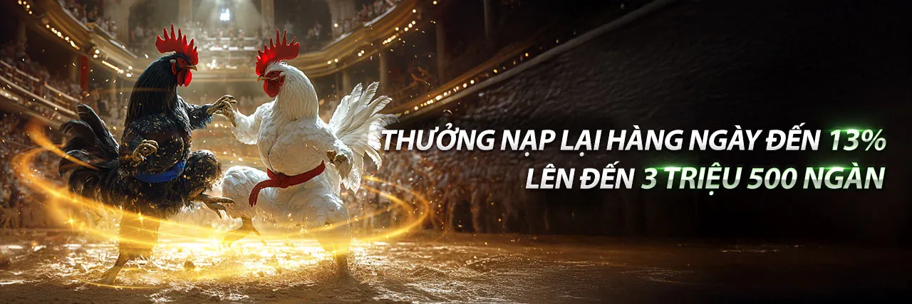 Hình ảnh sân vận động với không khí cá cược thể thao sôi động tại vin88 nổ hũ